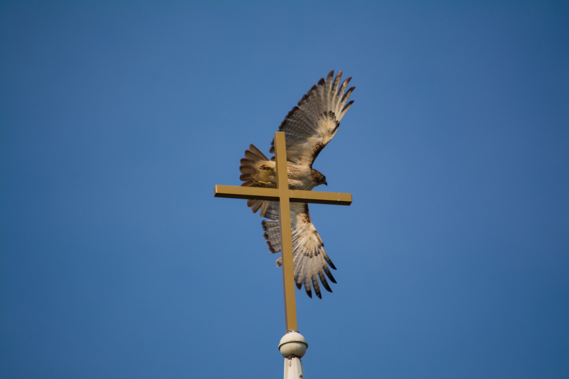 Кто боится Святого Духа? Кто боится Святого Духа?